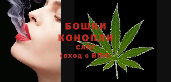 каннабис Аркадак